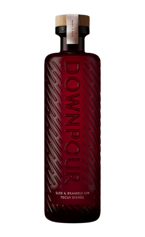 DOWNPOUR SLOE & BRAMBLE GIN 31% 70CL