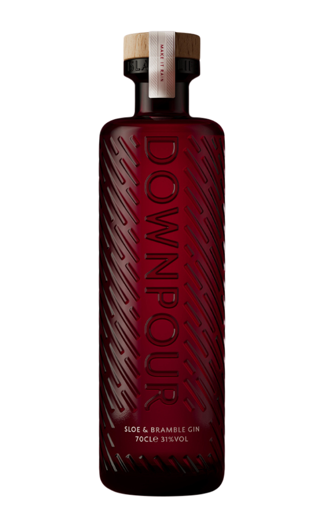 DOWNPOUR SLOE & BRAMBLE GIN 31% 70CL
